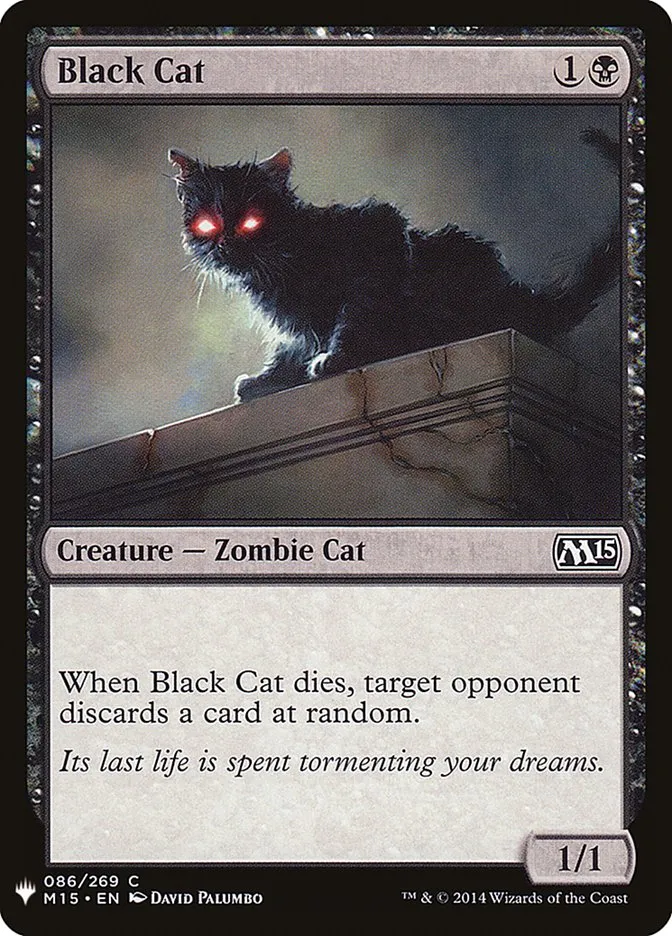 黒猫