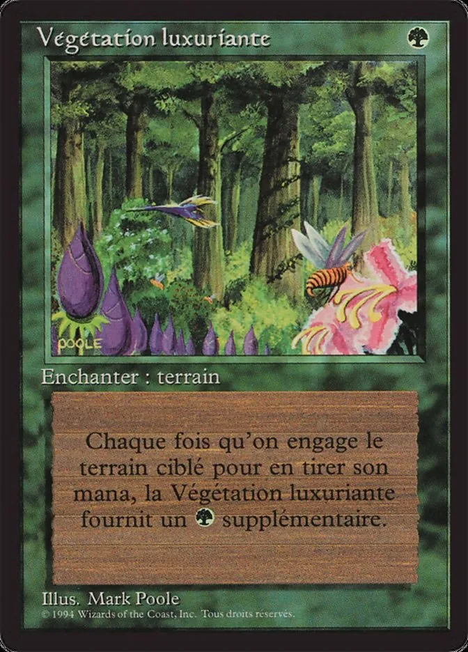 繁茂