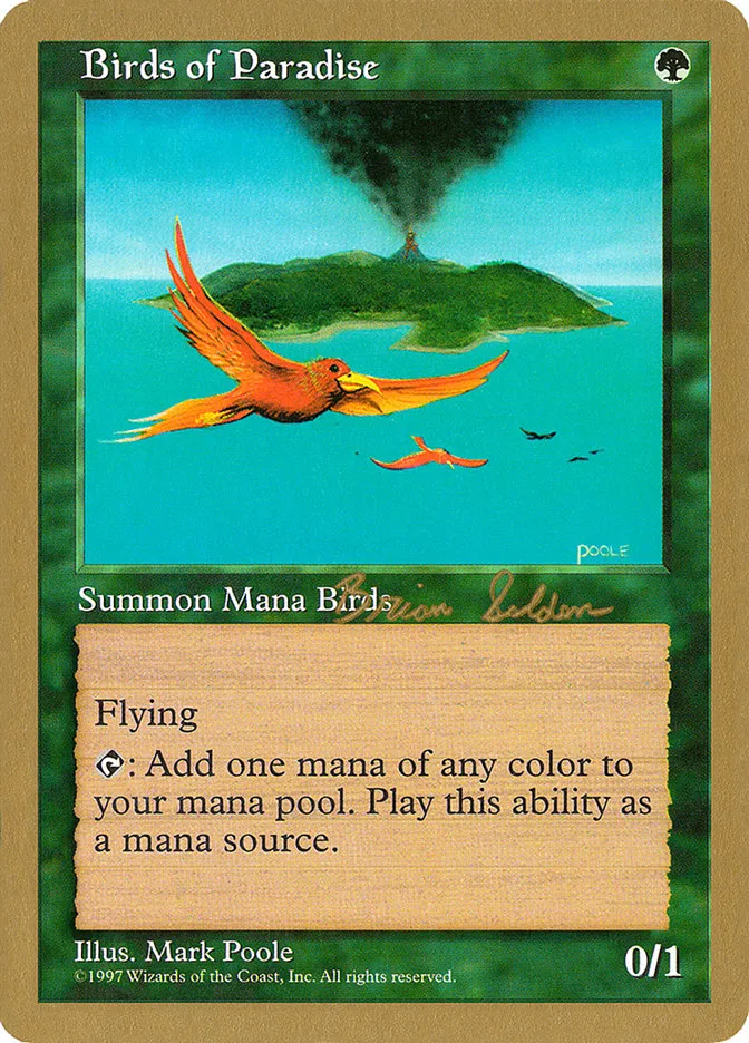 極楽鳥