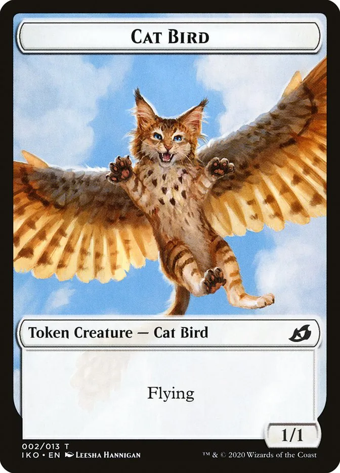猫・鳥
