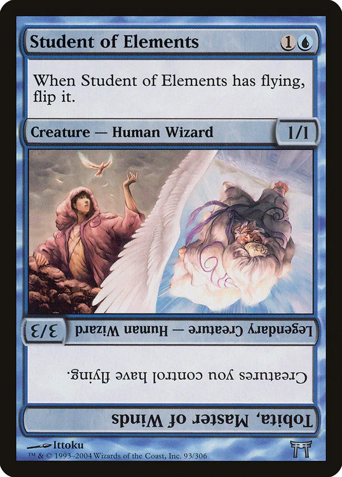 精霊の学び手