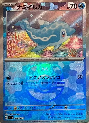 ナミイルカ