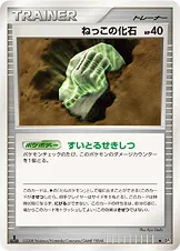 ねっこの化石