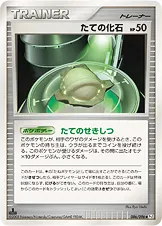 たての化石