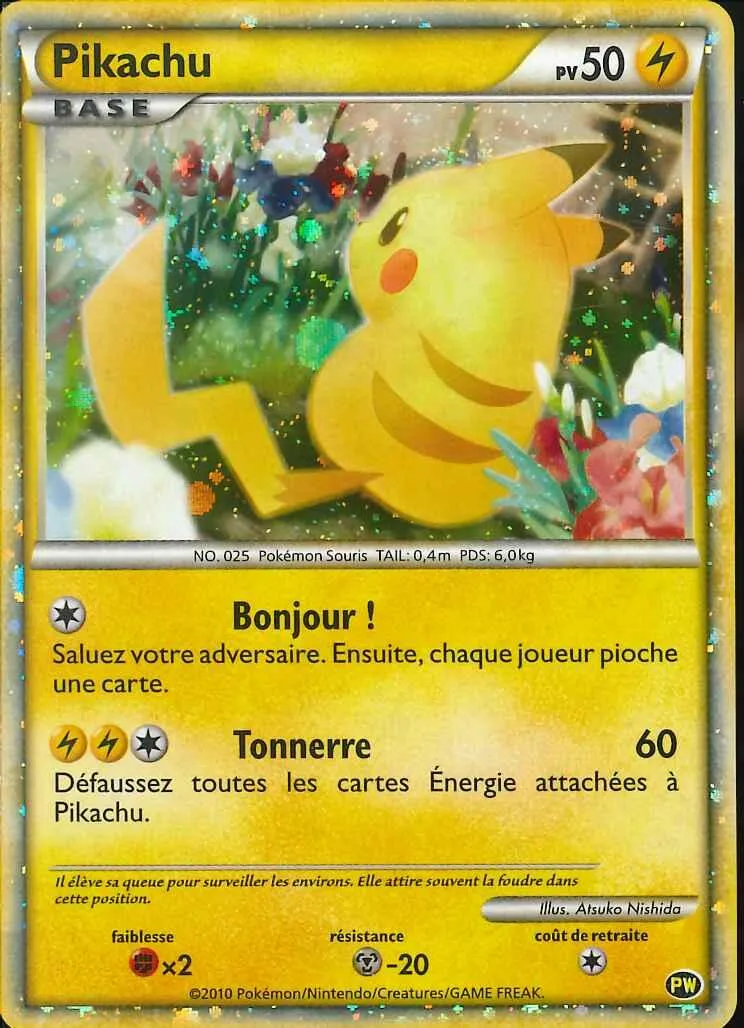 ピカチュウ (フランス)