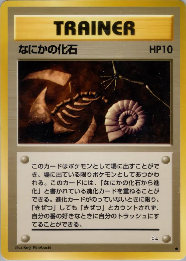 なにかの化石