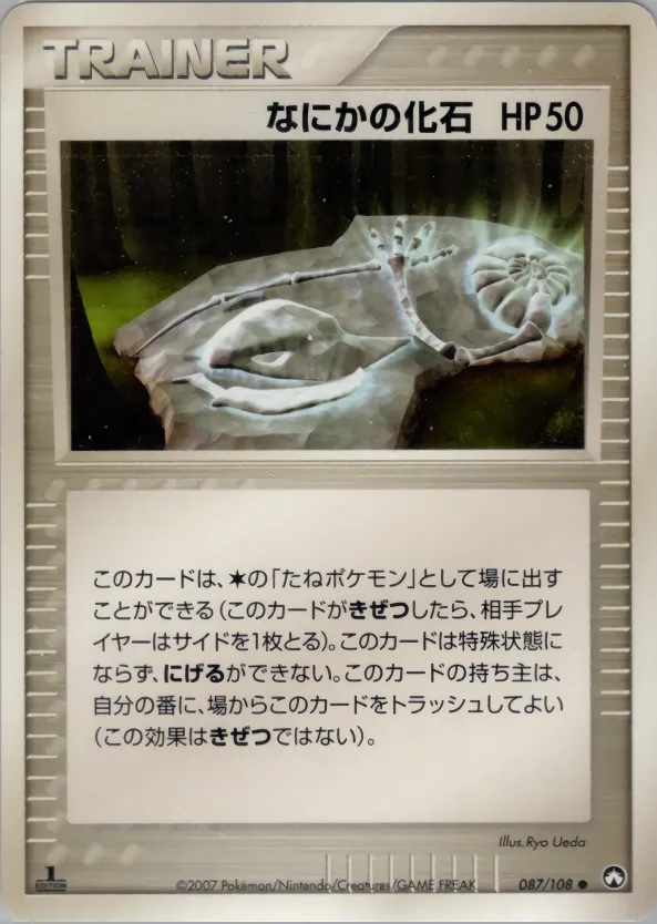 なにかの化石