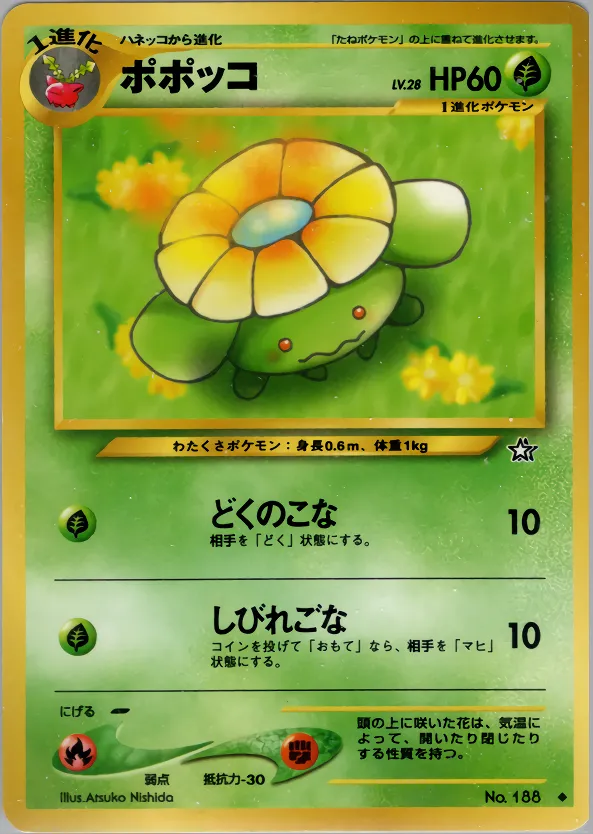 ポポッコ