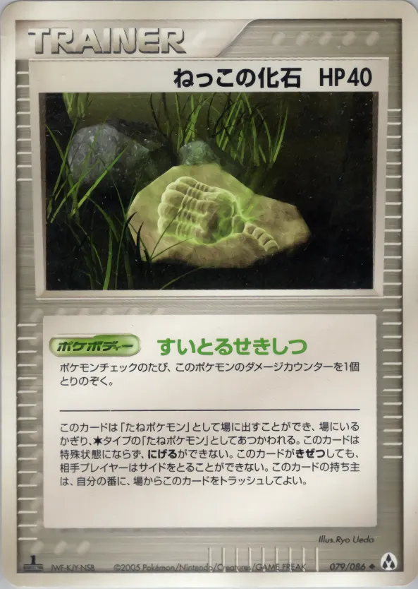 ねっこの化石