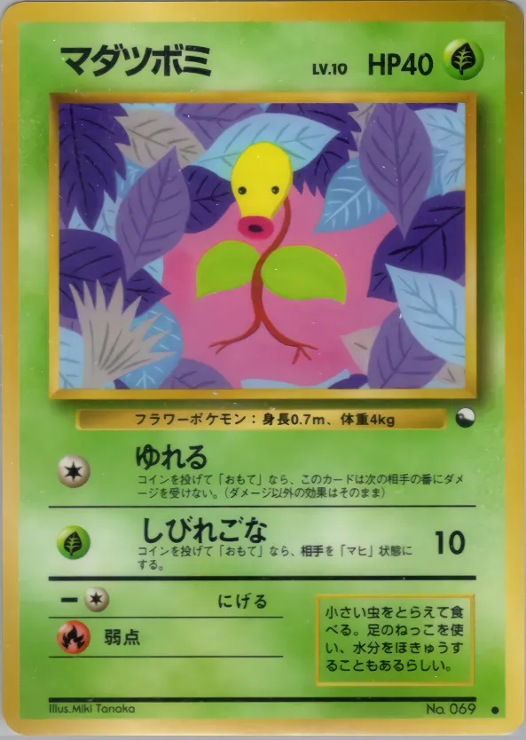マダツボミ