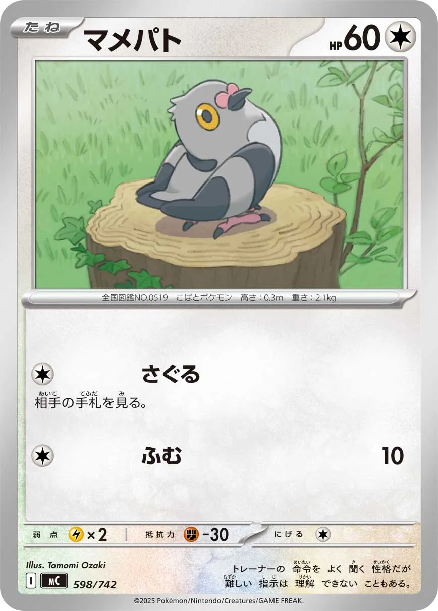 マメパト