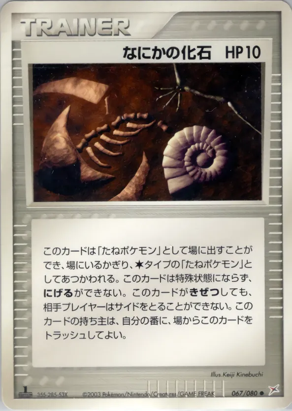 なにかの化石