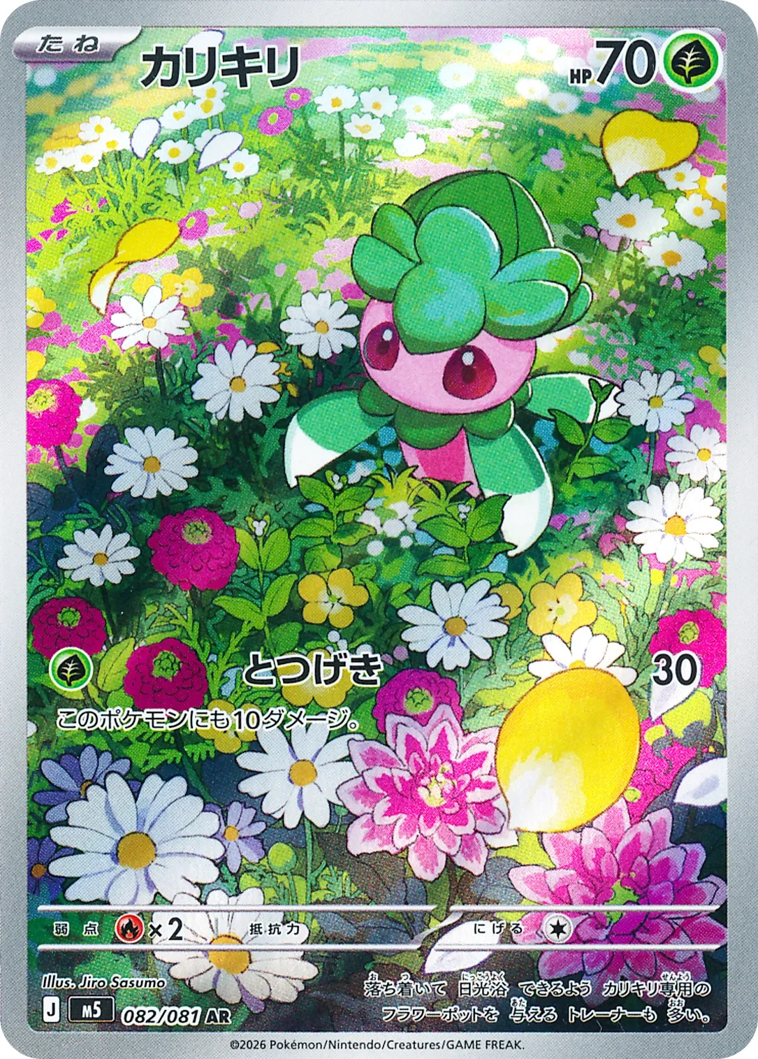 カリキリ