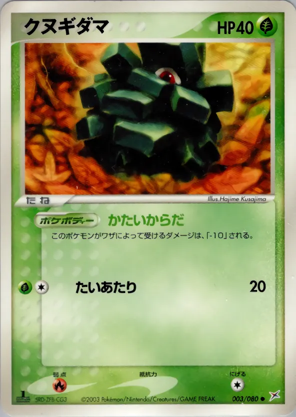 クヌギダマ