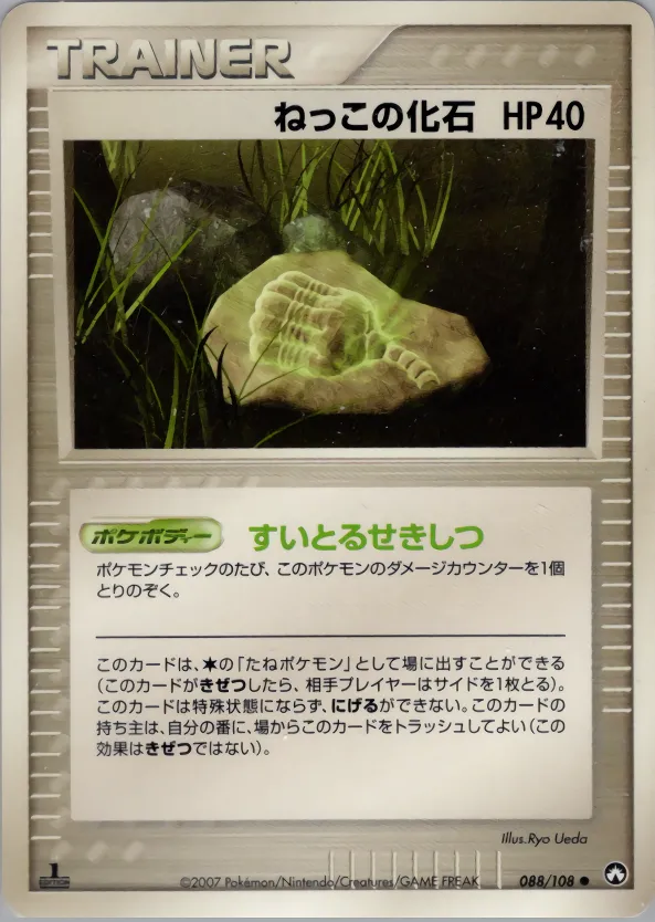 ねっこの化石