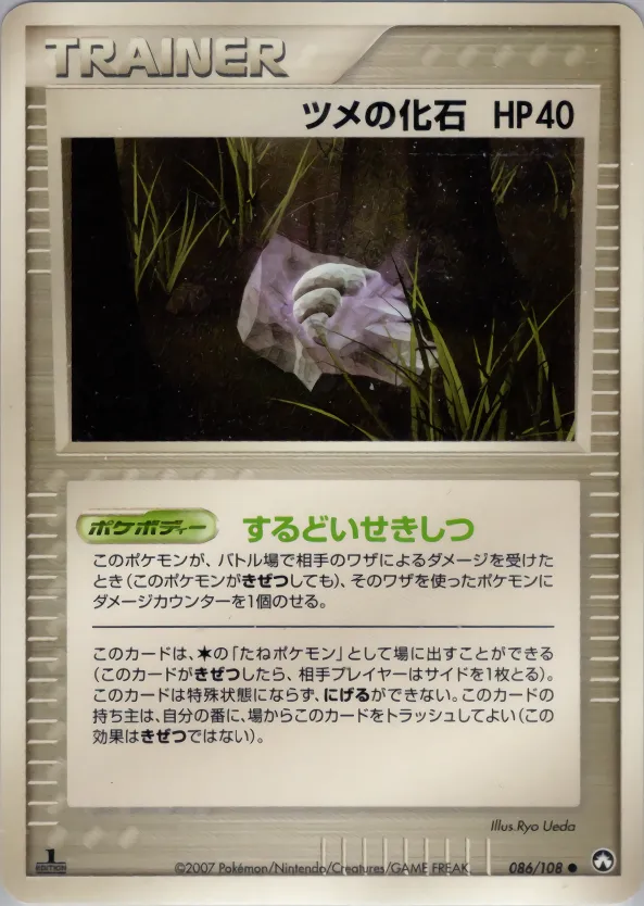 ツメの化石