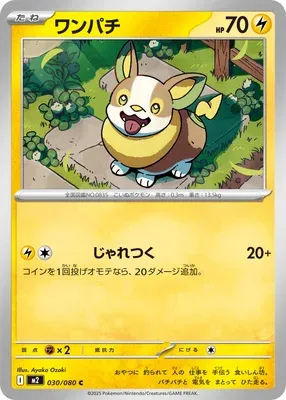 ワンパチ