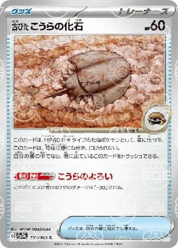 古びたこうらの化石
