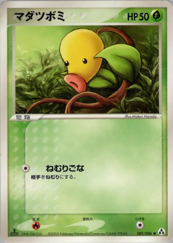 マダツボミ