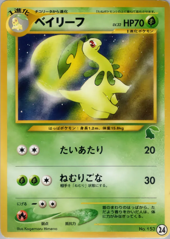 ベイリーフ