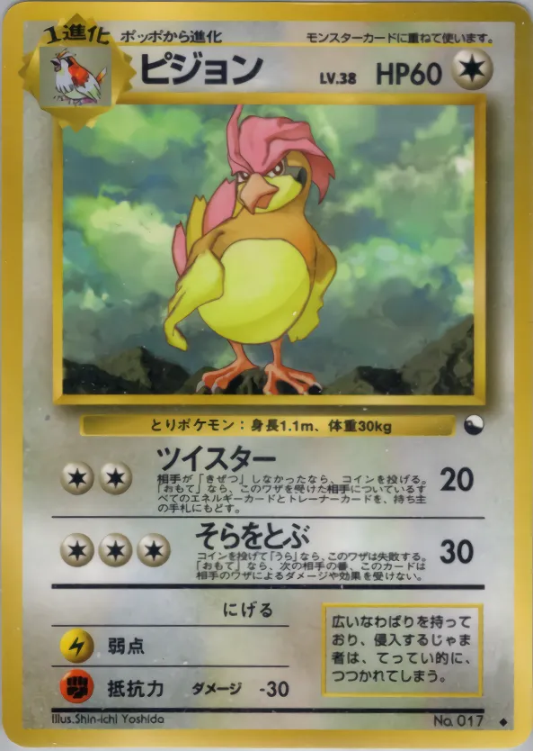 ピジョン