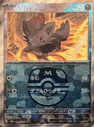 ゾロア