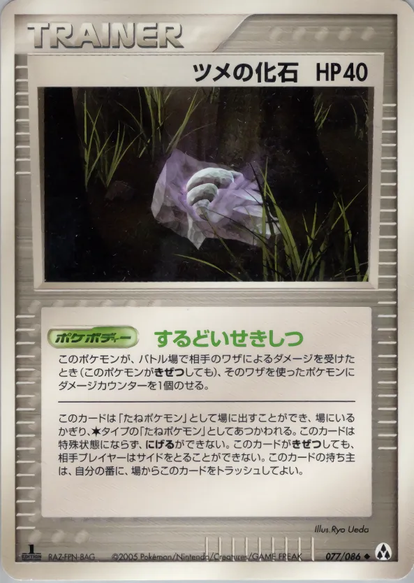 ツメの化石