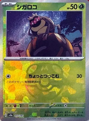 シガロコ
