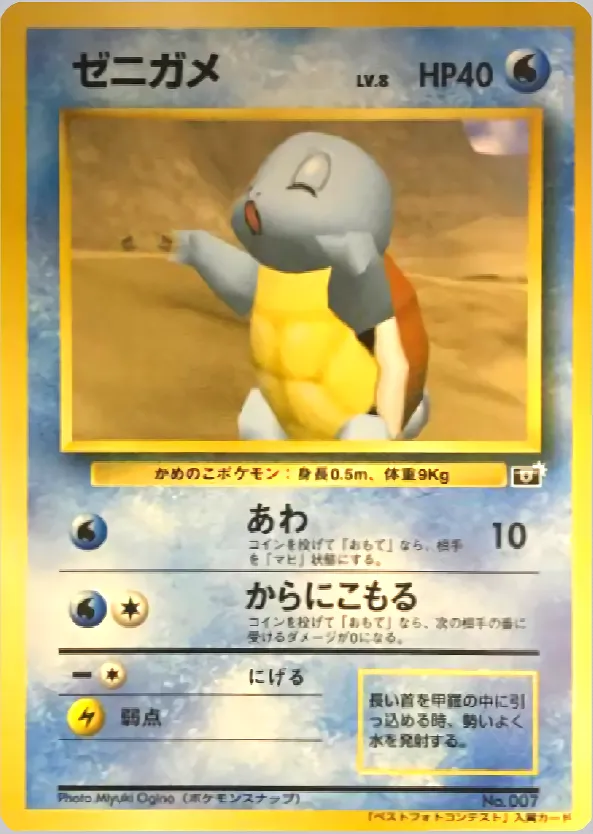 ゼニガメ