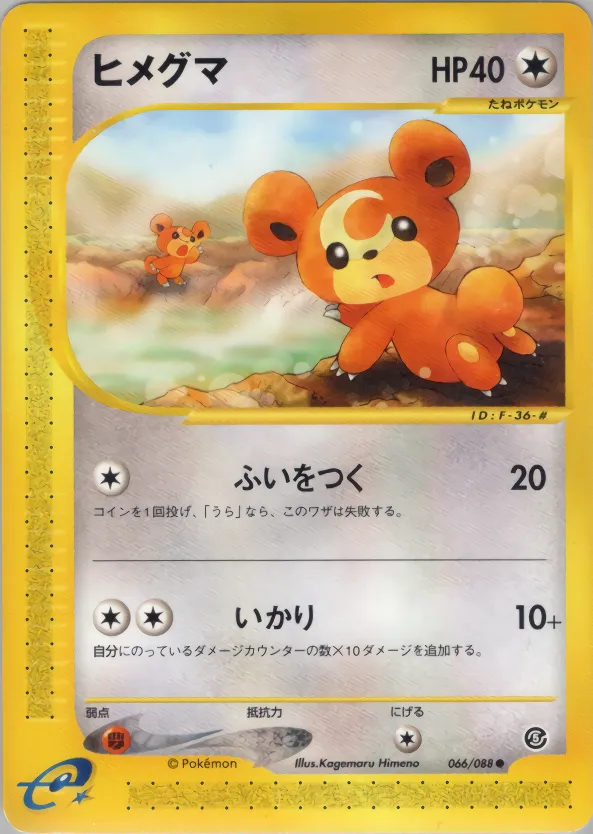 ヒメグマ