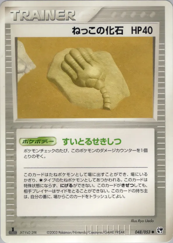 ねっこの化石