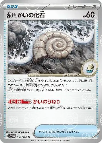 古びたかいの化石