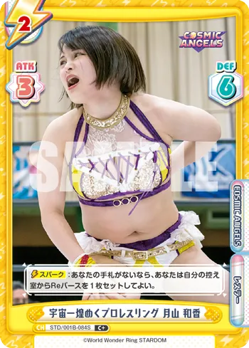 宇宙一煌めくプロレスリング 月山 和香
