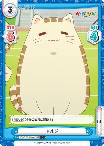 ドルジ