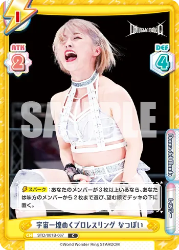 宇宙一煌めくプロレスリング なつぽい
