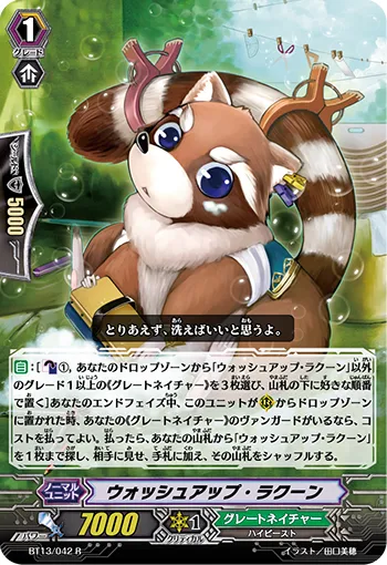 ウォッシュアップ・ラクーン