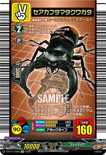 セアカフタマタクワガタ