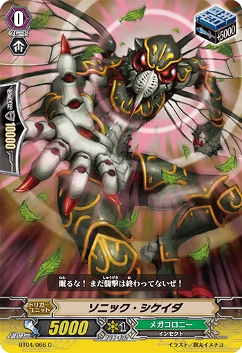 ソニック・シケイダ