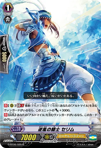 逆風の騎士 セリム