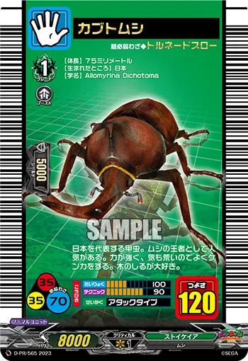 カブトムシ