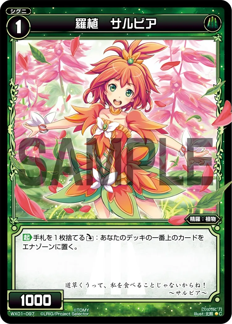 羅植　サルビア
