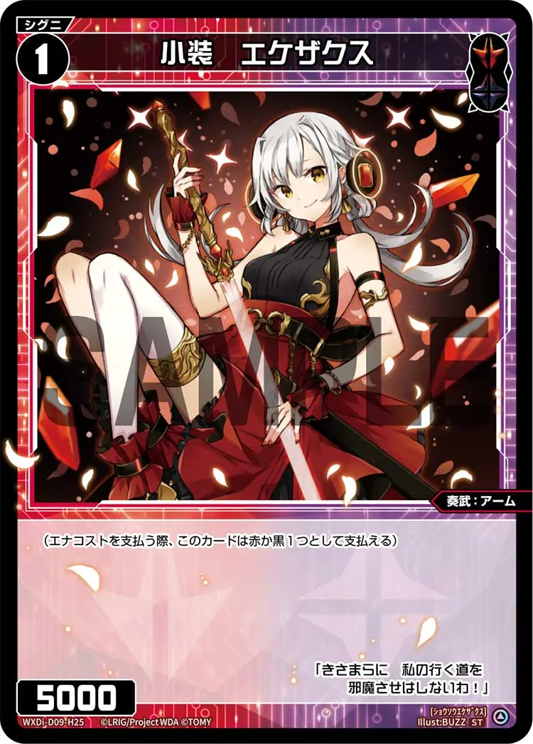 小装　エケザクス
