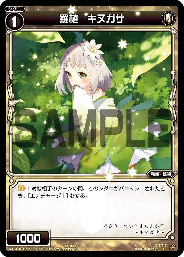羅植　キヌガサ