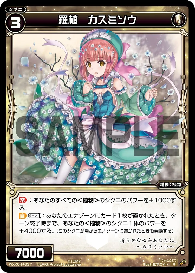 羅植　カスミソウ