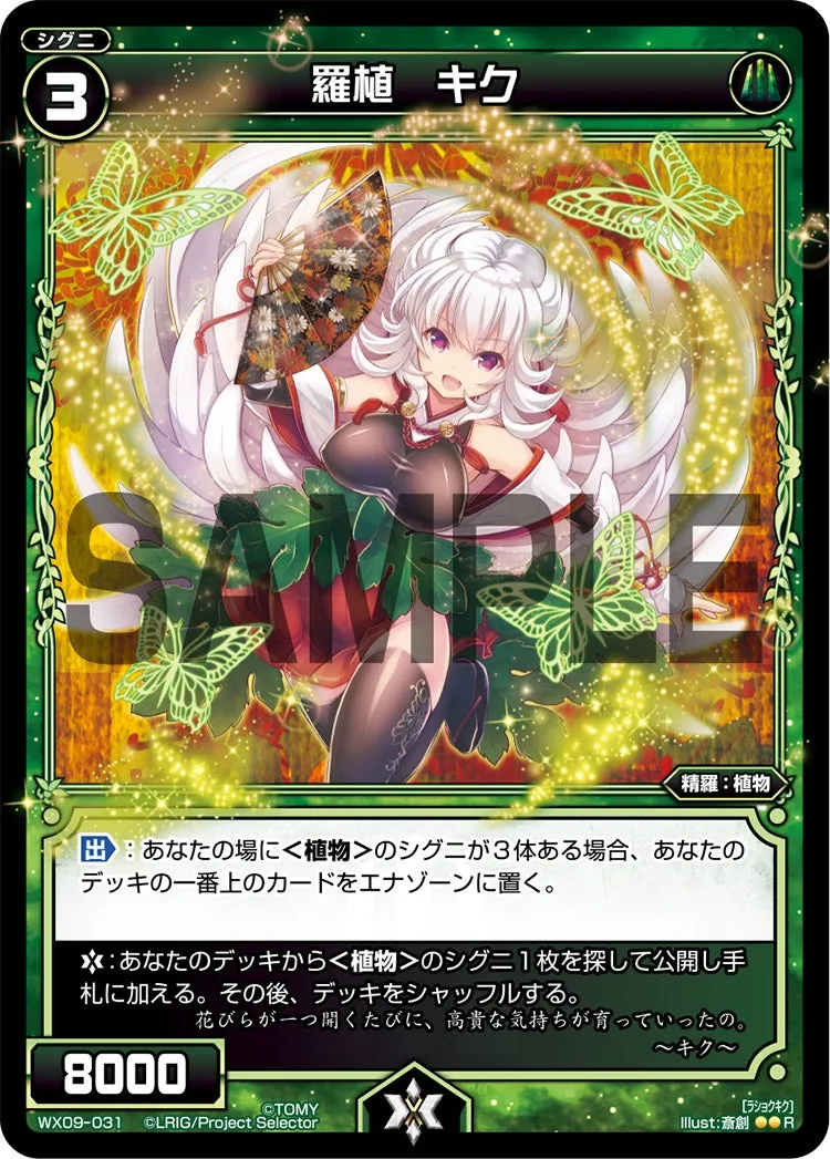 羅植　キク
