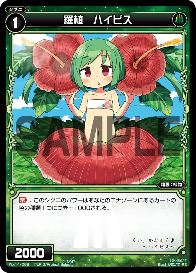 羅植　ハイビス