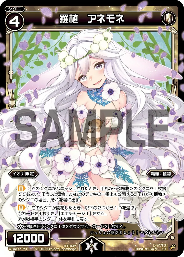 羅植　アネモネ