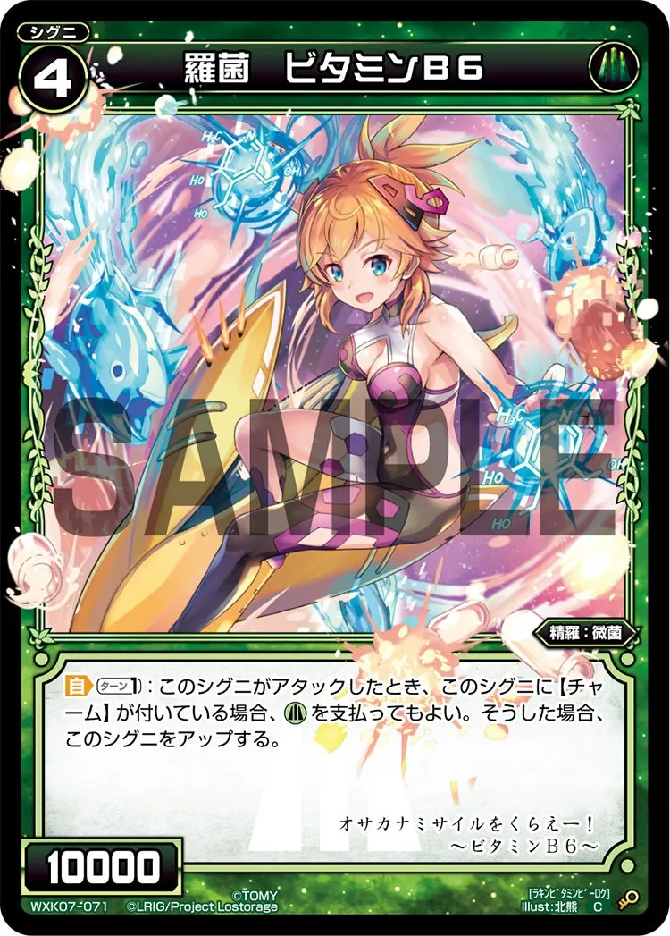 羅菌　ビタミンB6