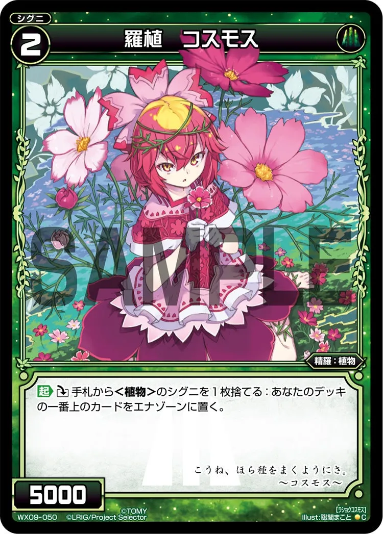 羅植　コスモス