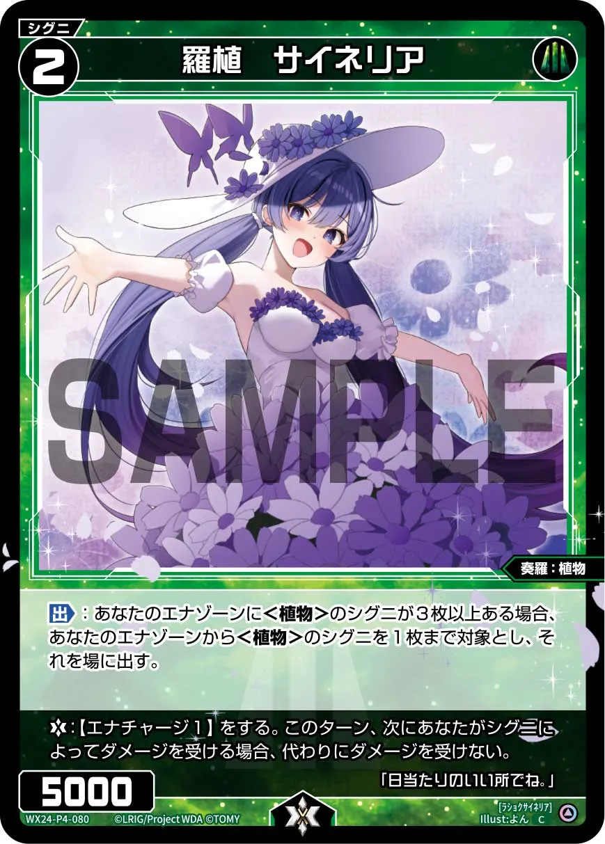 羅植　サイネリア